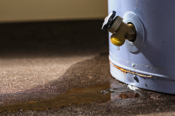  Mont Belvieu, TX Water damage restoration Pros