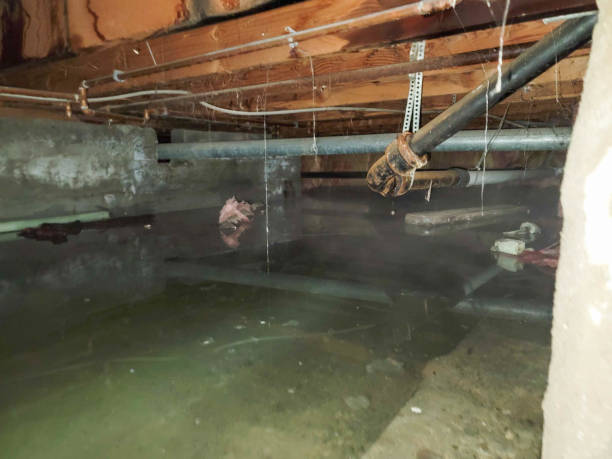 Best Flooded house restoration  in Mont Belvieu, TX