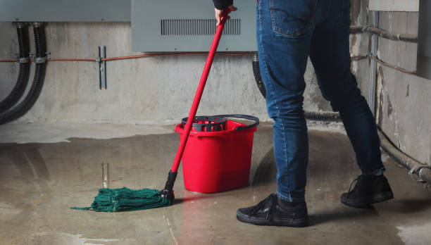 Best Mold removal after water damage  in Mont Belvieu, TX