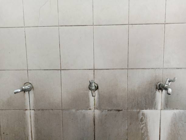 Best Water damage restoration cost  in Mont Belvieu, TX