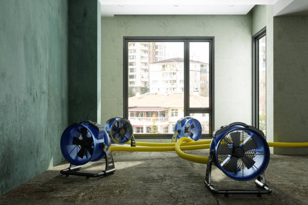 Best Sewage cleanup and water damage restoration  in Mont Belvieu, TX